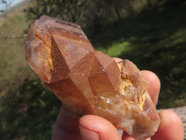 Natural Red Hematoid Phantom Quartz Clusters  x 12 From Karoi, Zimbabwe - TopRock