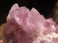 Natural Sugar Amethyst Clusters  x 12 From Solwezi, Zambia - Toprock Gemstones and Minerals 