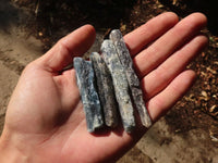 Natural Single Blue Kyanite Crystals  x 48 From Zimbabwe