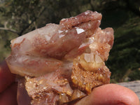 Natural Red Hematoid Phantom Quartz Clusters  x 12 From Karoi, Zimbabwe - TopRock