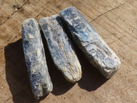 Natural Single Blue Kyanite Crystals  x 48 From Zimbabwe