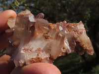 Natural Red Hematoid Phantom Quartz Clusters  x 12 From Karoi, Zimbabwe - TopRock