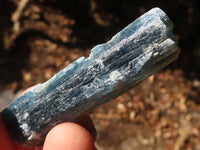 Natural Single Blue Kyanite Crystals  x 48 From Zimbabwe