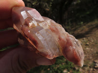 Natural Red Hematoid Phantom Quartz Clusters  x 12 From Karoi, Zimbabwe - TopRock