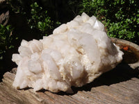 Natural Extra Large Candle Quartz Cluster  x 1 From Madagascar - Toprock Gemstones and Minerals 