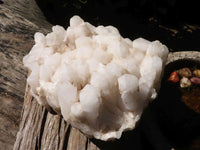 Natural Extra Large Candle Quartz Cluster  x 1 From Madagascar - Toprock Gemstones and Minerals 