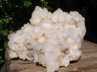 Natural Extra Large Candle Quartz Cluster  x 1 From Madagascar - Toprock Gemstones and Minerals 