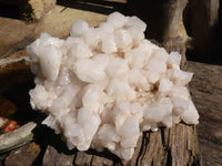 Natural Extra Large Candle Quartz Cluster  x 1 From Madagascar - Toprock Gemstones and Minerals 