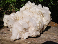 Natural Extra Large Candle Quartz Cluster  x 1 From Madagascar - Toprock Gemstones and Minerals 