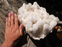 Natural Extra Large Candle Quartz Cluster  x 1 From Madagascar - Toprock Gemstones and Minerals 