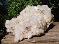 Natural Extra Large Candle Quartz Cluster  x 1 From Madagascar - Toprock Gemstones and Minerals 