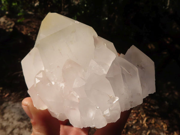 Natural Large Clear / White Quartz Crystals  x 6 From Madagascar