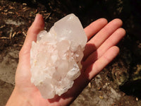 Natural Large Clear / White Quartz Crystals  x 6 From Madagascar