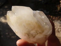 Natural Large Clear / White Quartz Crystals  x 6 From Madagascar