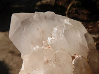 Natural Large Clear / White Quartz Crystals  x 6 From Madagascar