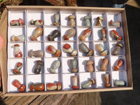 Polished Small Polychrome Jasper Mushrooms  x 35 From Madagascar