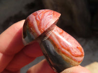 Polished Small Polychrome Jasper Mushrooms  x 35 From Madagascar