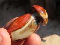 Polished Small Polychrome Jasper Mushrooms  x 35 From Madagascar