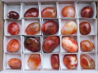 Polished Stunning Carnelian Agate Palm Stones  x 20 From Madagascar - TopRock