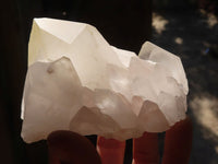 Natural Large Clear / White Quartz Crystals  x 6 From Madagascar