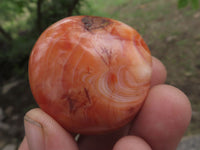 Polished Stunning Carnelian Agate Palm Stones  x 20 From Madagascar - TopRock