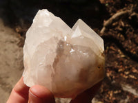 Natural Large Clear / White Quartz Crystals  x 6 From Madagascar