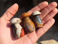 Polished Small Polychrome Jasper Mushrooms  x 35 From Madagascar