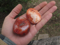 Polished Stunning Carnelian Agate Palm Stones  x 20 From Madagascar - TopRock