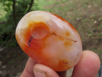 Polished Stunning Carnelian Agate Palm Stones  x 20 From Madagascar - TopRock