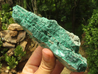 Natural Chatoyant Silky Malachite Specimens  x 6 From Kasompe, Congo - TopRock