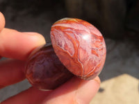 Polished Small Polychrome Jasper Mushrooms  x 35 From Madagascar