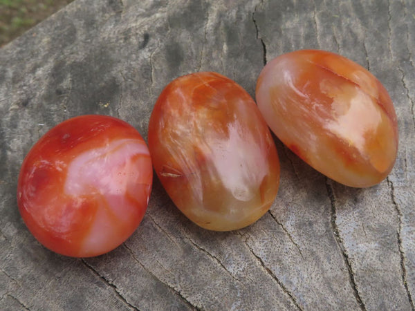 Polished Stunning Carnelian Agate Palm Stones  x 20 From Madagascar - TopRock