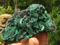 Natural Chatoyant Silky Malachite Specimens  x 6 From Kasompe, Congo - TopRock