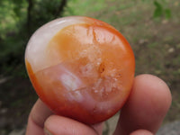 Polished Stunning Carnelian Agate Palm Stones  x 20 From Madagascar - TopRock