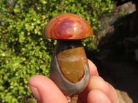 Polished Small Polychrome Jasper Mushrooms  x 35 From Madagascar