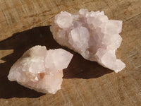 Natural White Cactus Flower Spirit Quartz Specimens  x 6 From Boekenhouthoek, South Africa - Toprock Gemstones and Minerals 