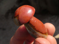 Polished Small Polychrome Jasper Mushrooms  x 35 From Madagascar