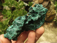 Natural Chatoyant Silky Malachite Specimens  x 6 From Kasompe, Congo - TopRock