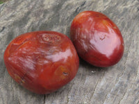 Polished Stunning Carnelian Agate Palm Stones  x 20 From Madagascar - TopRock