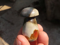 Polished Small Polychrome Jasper Mushrooms  x 35 From Madagascar