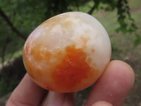 Polished Stunning Carnelian Agate Palm Stones  x 20 From Madagascar - TopRock