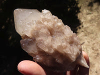 Natural Cascading White Phantom Smokey Quartz Specimens  x 6 From Luena, Congo - Toprock Gemstones and Minerals 