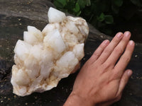 Natural Extra Large White Pineapple Quartz Cluster x 1 From Madagascar - TopRock