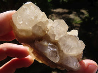 Natural Cascading White Phantom Smokey Quartz Specimens  x 6 From Luena, Congo - Toprock Gemstones and Minerals 