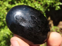 Polished Schorl Black Tourmaline Palm Stones  x 12 From Madagascar - Toprock Gemstones and Minerals 