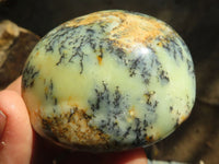 Polished Dendritic Yellow & Purple Opal Palm Stones  x 12 From Madagascar - Toprock Gemstones and Minerals 