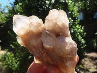 Natural Cascading White Phantom Smokey Quartz Specimens  x 6 From Luena, Congo - Toprock Gemstones and Minerals 