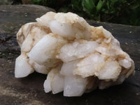 Natural Extra Large White Pineapple Quartz Cluster x 1 From Madagascar - TopRock