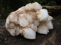 Natural Extra Large White Pineapple Quartz Cluster x 1 From Madagascar - TopRock