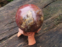 Polished Extra Large Petrified Red Podocarpus Wood Sphere & Rosewood Stand x 2 From Madagascar - TopRock